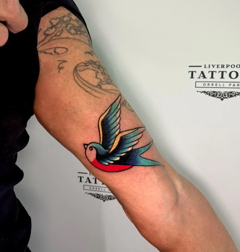 Traditional color swallow bird arm tattoo by female artist